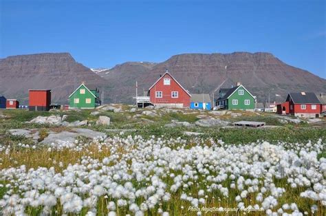 Greenland | Greenland, House styles, Cabin