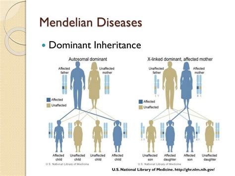 PPT - Exome Sequencing as Molecular Diagnostic Tool of Mendelian Diseases PowerPoint ...