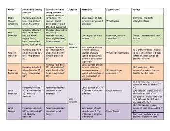 Manual Muscle Testing Chart Printable