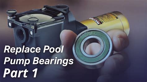 How To: Replace the Bearings in a Pool Pump Motor - Part I - YouTube