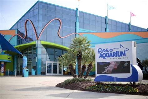 Get Up Close with Nature at Myrtle Beach Zoo and Wildlife Attractions - Cozy Turtle RV Rentals