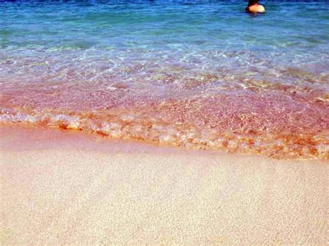 Pink Beach in Indonesia ~ indonesian tourism