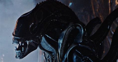 Alien: Romulus is the Official Title of Fede Alvarez's Xenomorph Sequel