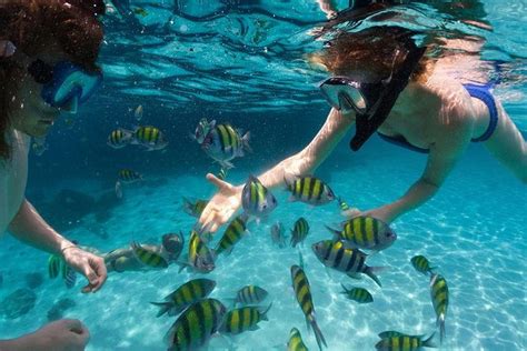 Puerto Plata Snorkeling Tour 2019 - Dominican Republic