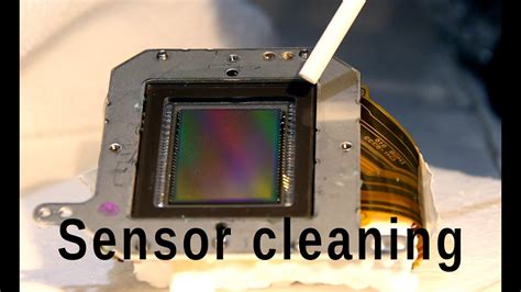 Canon sensor FUNGUS removal, cleaning. - YouTube