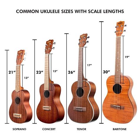 ukulele sizes inches - Google Search | Ukulele sizes, Ukulele, Ukulele strings