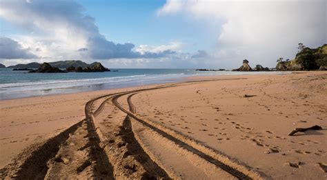 This is Tauranga Bay, NZ! Just one of the many stunning beaches down ...