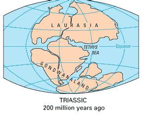 Gondwana Supercontinent Overview & Map | What is Gondwana? | Study.com