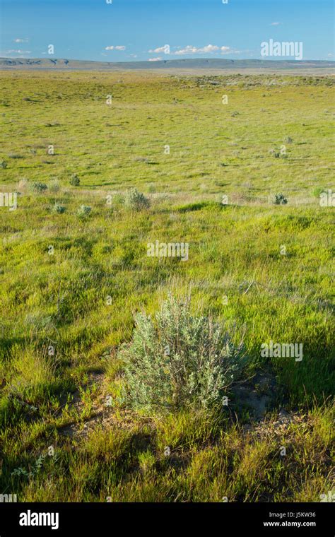 Hanford reach national monument: hi-res stock photography and images - Alamy