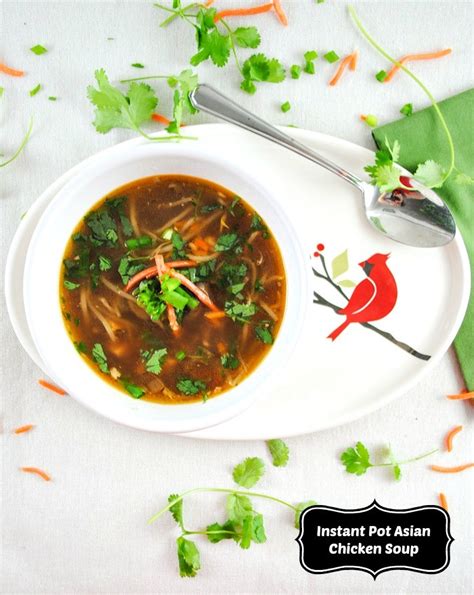 Instant Pot Spicy Asian Chicken Soup with Ginger, Garlic and Cilantro ...