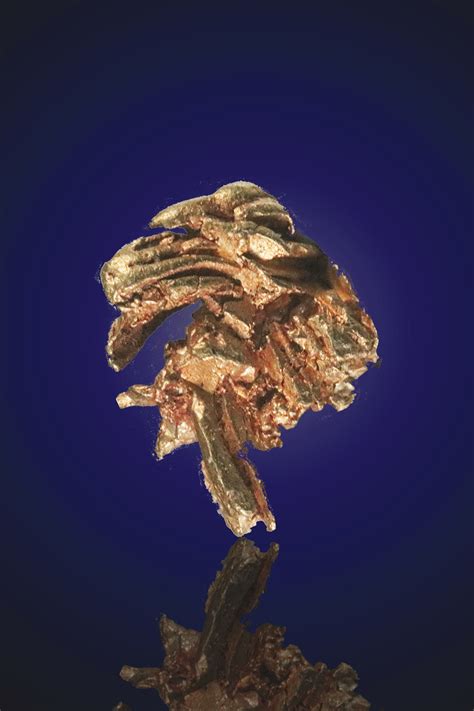 Bradshaw Mountains, Arizona - A collection of gold specimens - $1,095.00 : Natural gold Nuggets ...