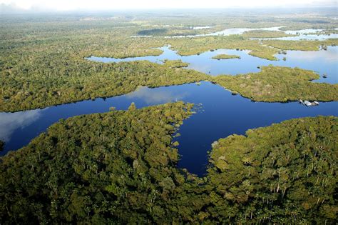 ¿Cuándo se formó el río Amazonas? - Passport Travel Magazine