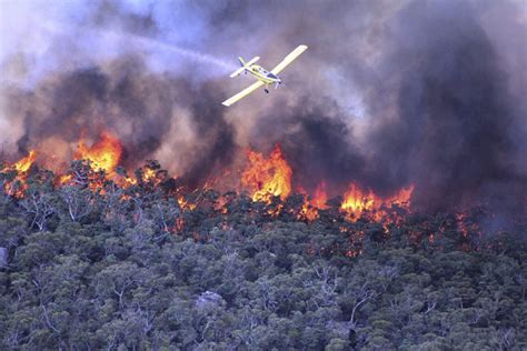 Australian wildfires destroy homes in New South Wales | Toronto Star