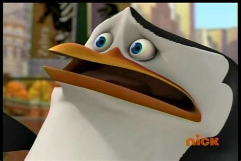 "Kowalski!!!!!!" - Penguins of Madagascar Photo (26849474) - Fanpop