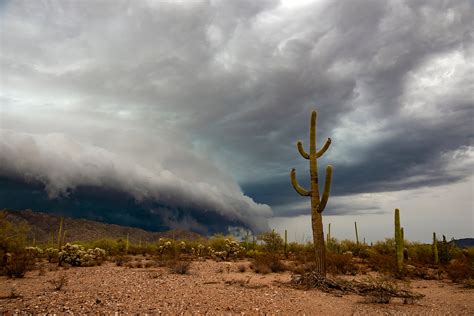 Arizona Monsoon Chasing Tours -Storm Chasing Photography Tours