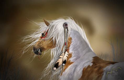 'comanche' Digital Art by Sylvia De Klerk