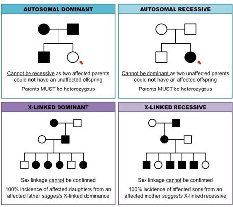 pedigree charts: inheritance cheat sheet | Genetics lesson, Biology facts, Learn biology