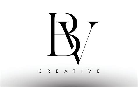 BV Minimalist Serif Modern Letter Logo in Black and White. BV Creative Serif Logo Design Icon ...