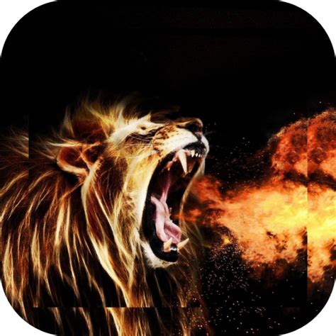 Fire Lion Wallpaper - Apps on Google Play