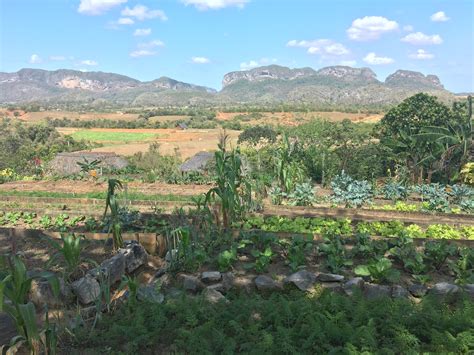 Walking in the Viñales Valley National Park