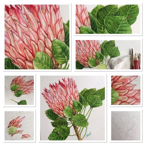 Doodlewash® - "Watercolor Botanical Painting Tutorial"