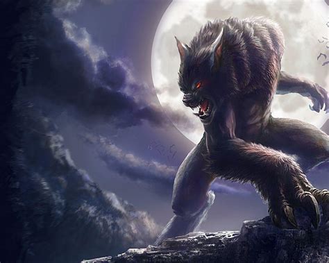 Vampire vs Werewolf Wallpapers - Top Free Vampire vs Werewolf Backgrounds - WallpaperAccess