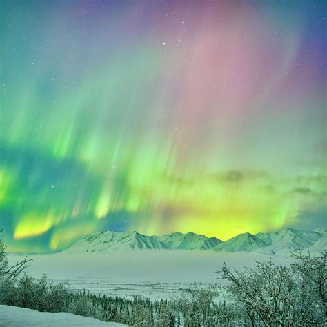 Aurora Borealis last winter in Alaska [OC] 1814x1814 : EarthPorn