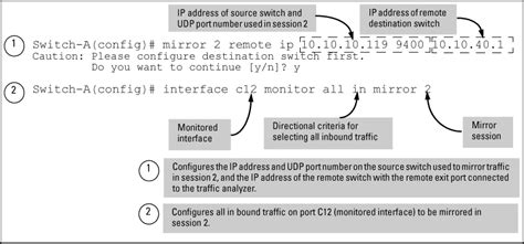 Mirroring configuration examples