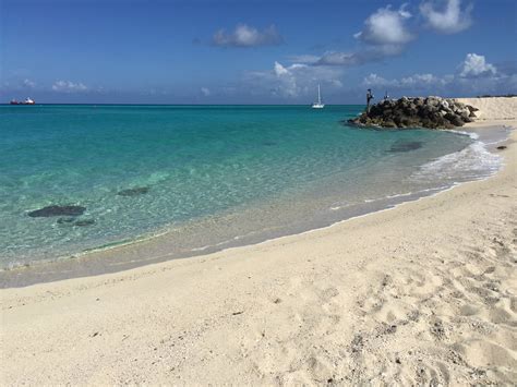 Bimini beach? - The Hull Truth - Boating and Fishing Forum