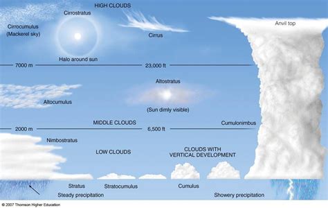 10 map cloud type - Google Search | Cloud type, Weather science, Clouds