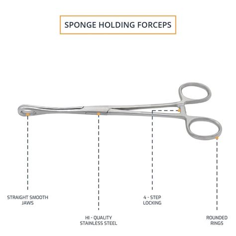 Sponge Holding Forceps 9.5" Straight Smooth Jaws| Surgical Mart ...