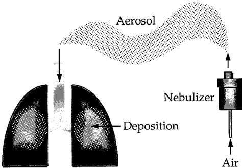 Components of an aerosol delivery system: the aerosol, the aerosol... | Download Scientific Diagram