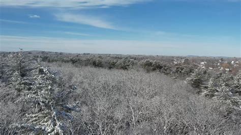 Snow Forest Aerial Free Aerial Drone Stock Video Footage Clip