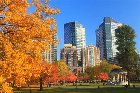 Boston Common In Autumn Photograph by John Burk