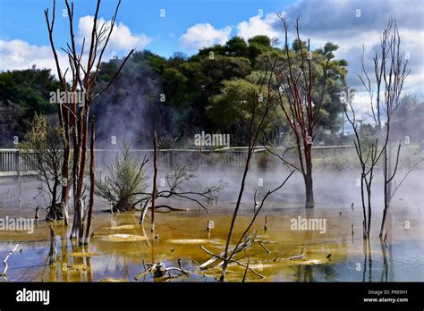 Geothermal park in central Rotorua Stock Photo - Alamy