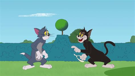 Tom And Jerry Butch Cat