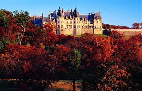 The Biltmore inspires a gilded Thanksgiving | Biltmore estate asheville, Biltmore estate, Biltmore