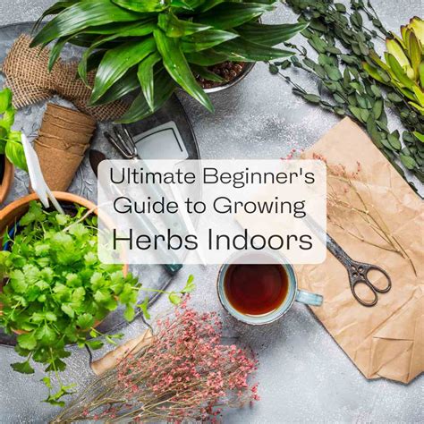 Ultimate Beginner's Guide to Growing Herbs Indoors