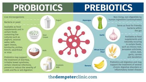 Prebiotics vs Probiotics | Prebiotics and probiotics, Prebiotics, Probiotics