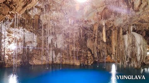 Exploring the Wildlife of Cenote Xkeken, Mexico: A Guide to Local Animals - yunglava