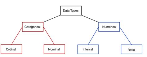 Types of Data in Statistics: A Guide | Built In