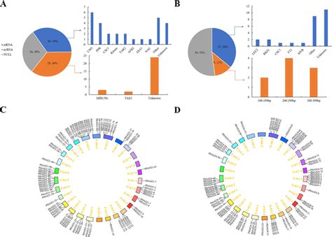 Classification of identified PHAS loci. A The 21-nt PHAS loci were... | Download Scientific Diagram