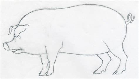 Outline Running Pig Clip Art - Pig Drawing Outline