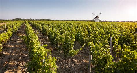 Discover the Loire Valley Wine Routes | The greatest destinations in the vineyards of France ...