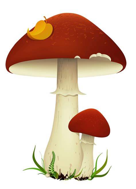 Mushroom Clip art - Fall Mushrooms Transparent PNG Picture png download ...