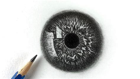 Drawing Of An Eyeball – Warehouse of Ideas