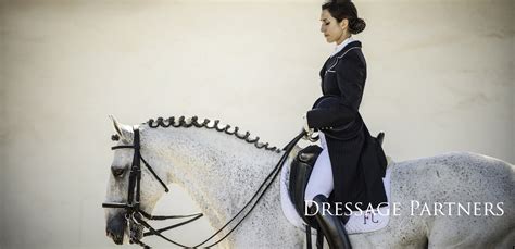 Lusitanos for Sale – Lusitano Horse Finder