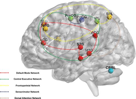 The main reported neuroimaging findings by acupuncture. Note. ACG ...