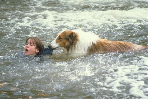 Lassie (1994)