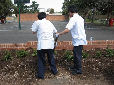 Prefects Planting Trees at Sefton High